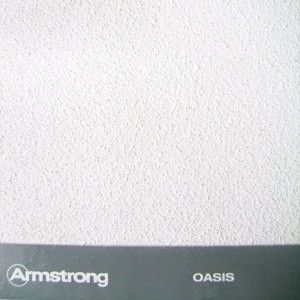 Потолочная плита OASIS 600x600x12мм панель АРМСТРОНГ Оазис борд 1