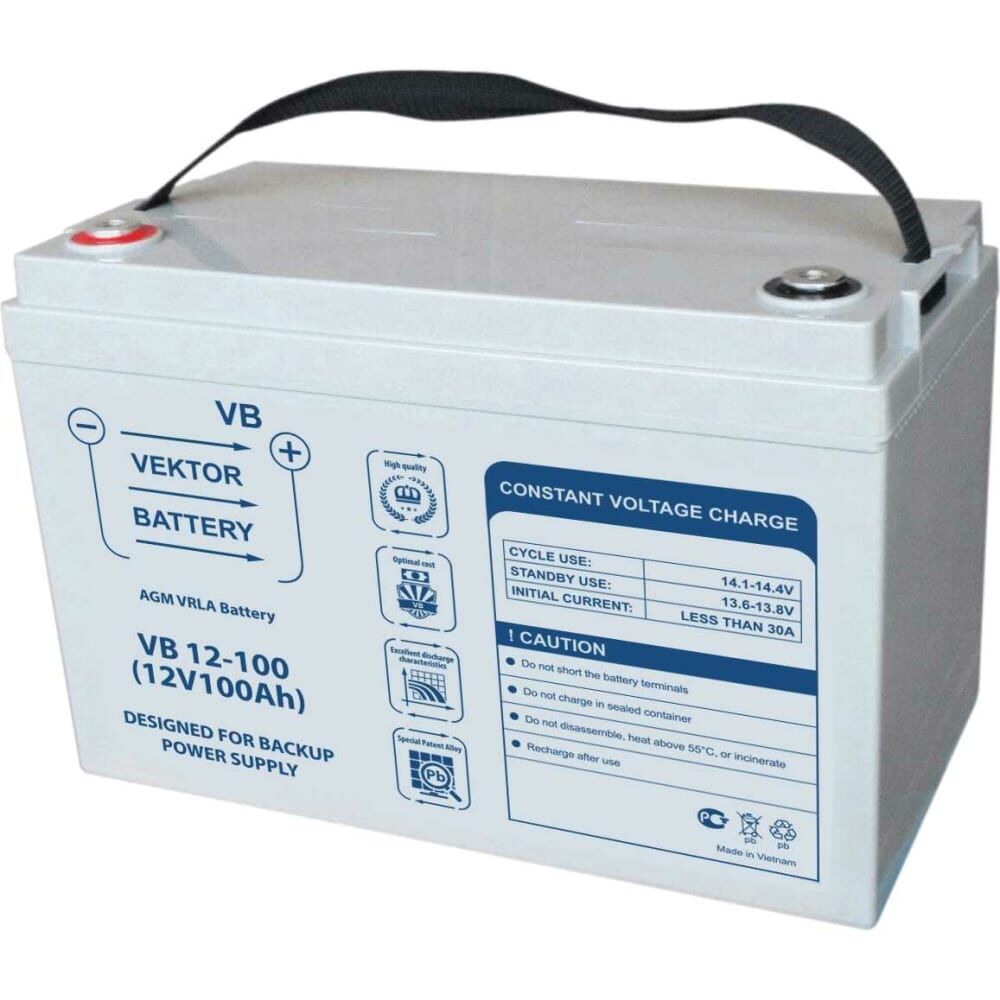 Аккумуляторная батарея Vektor Energy VB 12-100