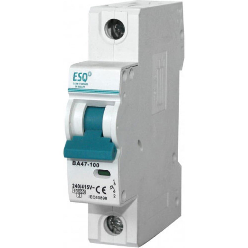 Автоматический выключатель ESQ ВА 47-100
