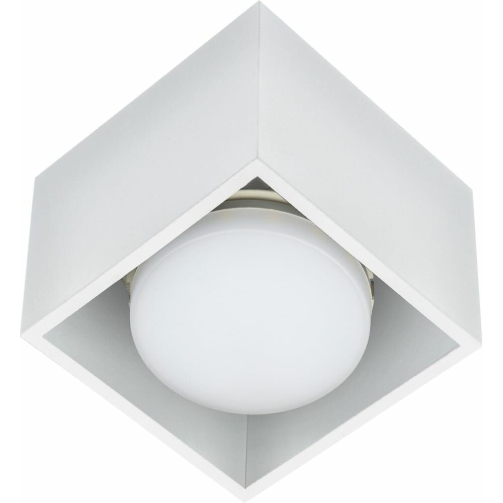Декоративный накладной светильник Fametto DLC-S609