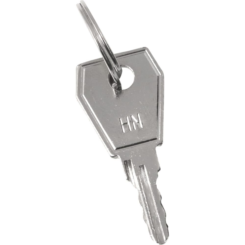 Ключ для пластикового замка к щрн EKF (арт. lock-shrn-ip31)